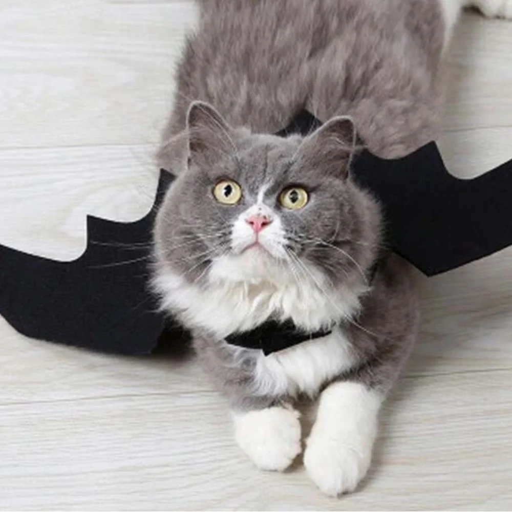 Bat Wing costume for cats